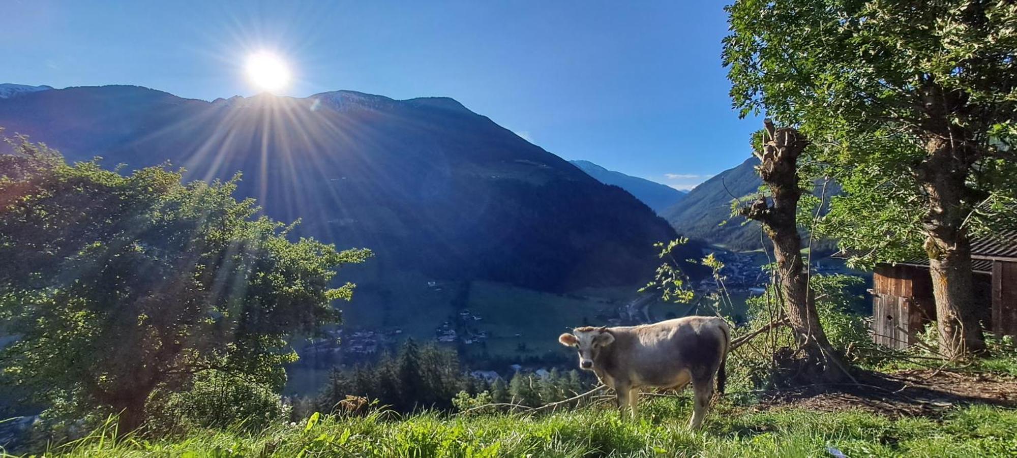 AhrntalGrossstahlhof Mountain & Panorama View公寓 外观 照片