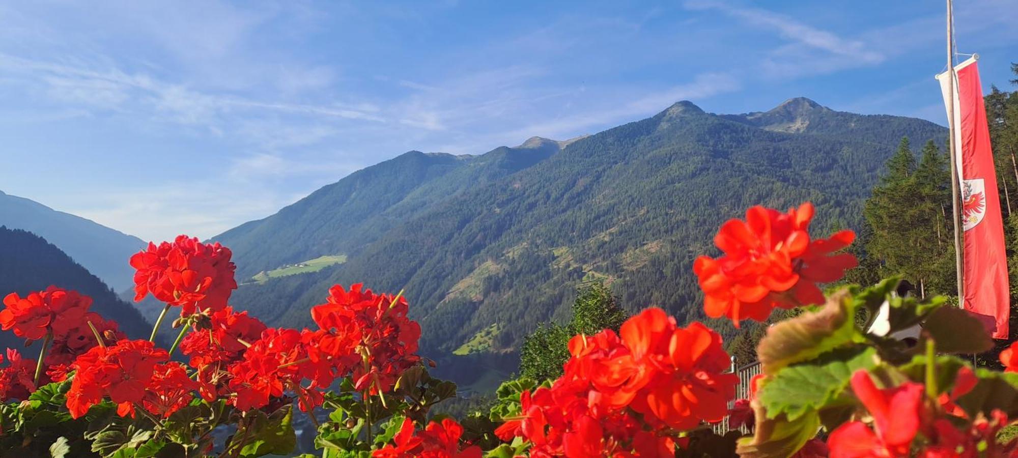 AhrntalGrossstahlhof Mountain & Panorama View公寓 外观 照片